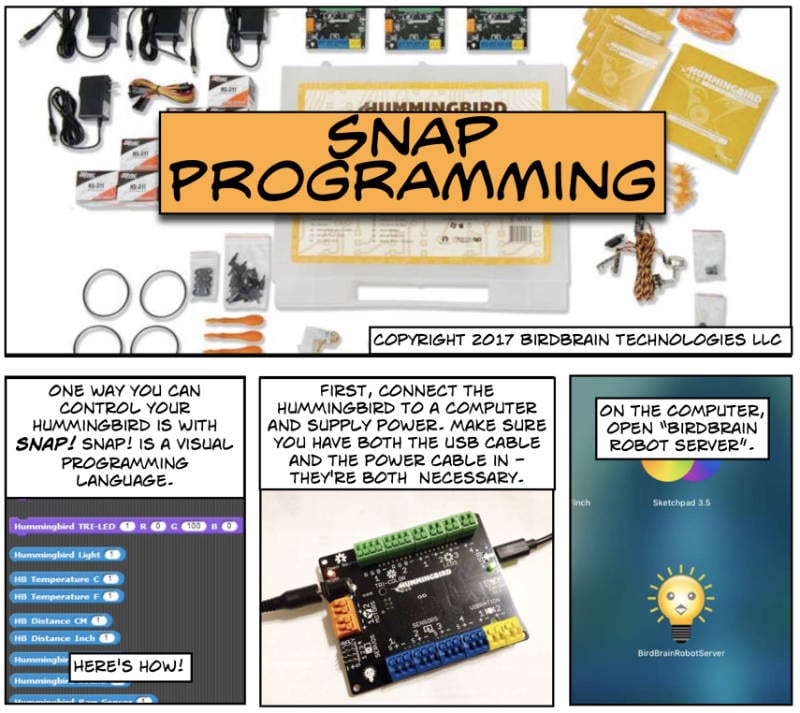 Hummingbird Duo Snap Comic