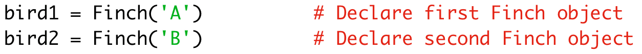 bird1 = Finch('A') # Declare first Finch object 
bird2 = Finch('B') # Declare second Finch object