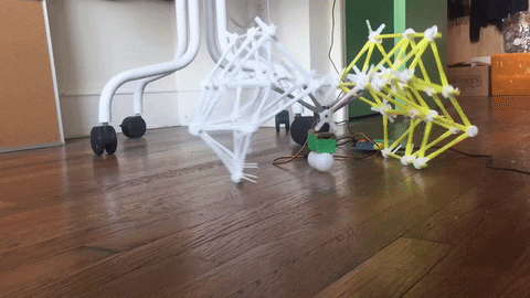 Strawbees and Hummingbird